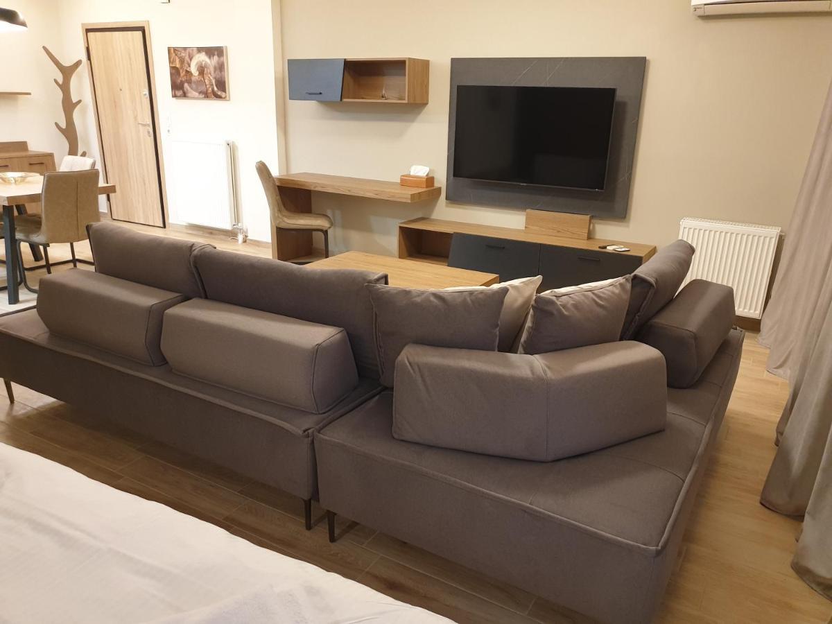 Olive Deluxe Apartment Karditsa Bagian luar foto