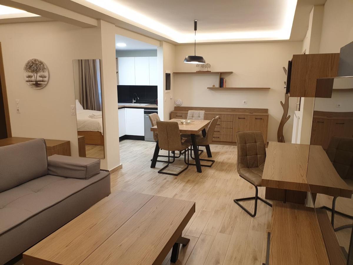 Olive Deluxe Apartment Karditsa Bagian luar foto