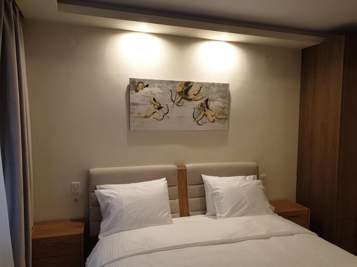 Olive Deluxe Apartment Karditsa Bagian luar foto
