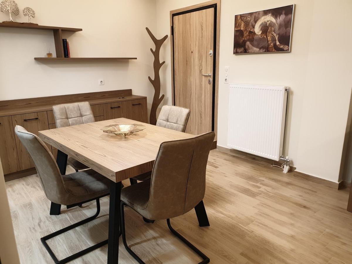 Olive Deluxe Apartment Karditsa Bagian luar foto